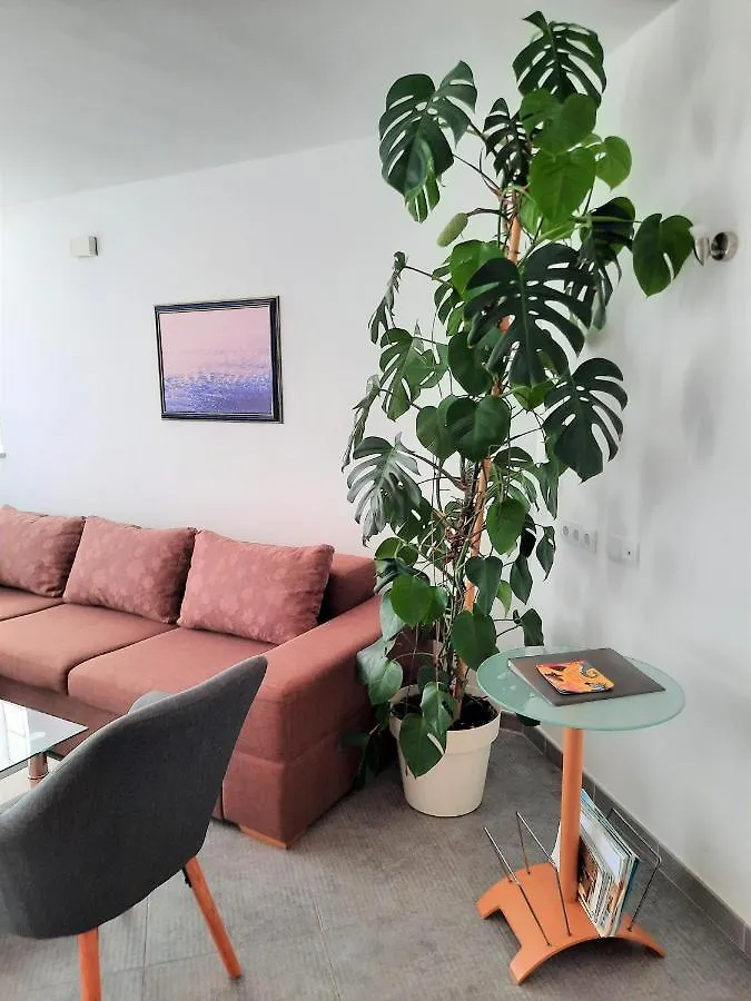 Apartment Mato Barbariga Chorvatsko